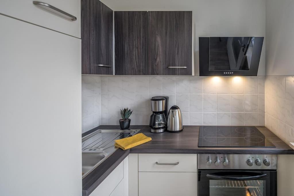 Cozy Apartment I Zentrumsnah I Wlan Dresden Exteriör bild